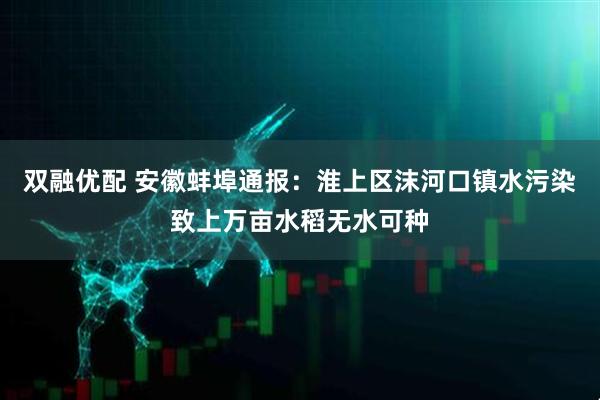 双融优配 安徽蚌埠通报：淮上区沫河口镇水污染致上万亩水稻无水可种