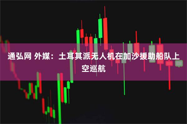 通弘网 外媒：土耳其派无人机在加沙援助船队上空巡航