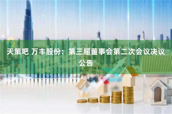 天策吧 万丰股份：第三届董事会第二次会议决议公告