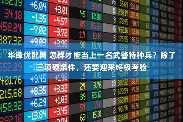 华锋优配网 怎样才能当上一名武警特种兵？除了三项硬条件，还要迎来终极考验