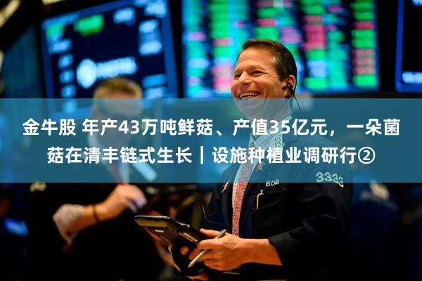金牛股 年产43万吨鲜菇、产值35亿元，一朵菌菇在清丰链式生长｜设施种植业调研行②